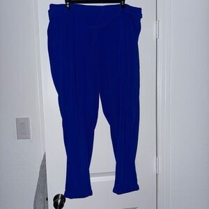 Torrid pants